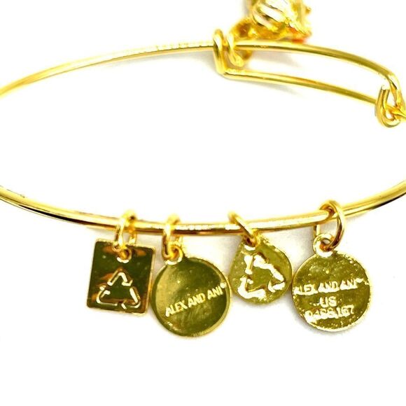 Alex & Ani Hermit Crab Dangle Bracelet NEW - Picture 7 of 7